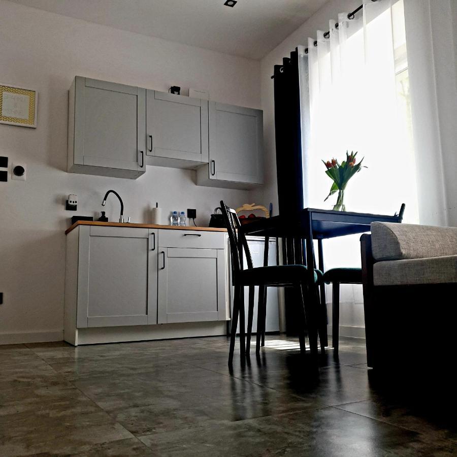 Apartament Z Historia เยเลเนียกูรา ภายนอก รูปภาพ