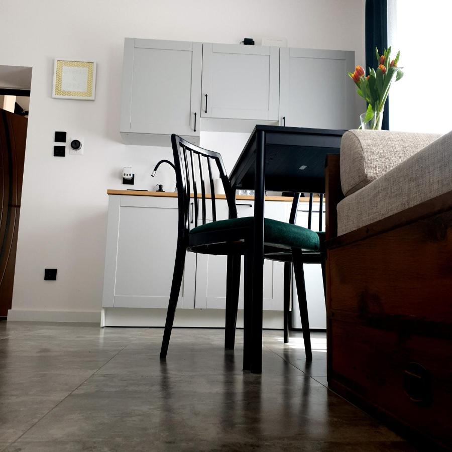Apartament Z Historia เยเลเนียกูรา ภายนอก รูปภาพ
